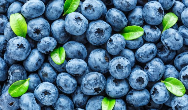 Arándanos contra las infecciones de orina: ¿son realmente eficaces?