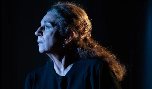 Poncia es un espectáculo protagonizado por Lolita Flores y escrito y dirigido por Luis Luque, a partir de La Casa de Bernarda Alba de Federico García Lorca.