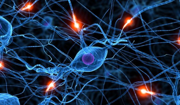 Demuestran que las células humanas 'vibran', lo que podría ayudar contra el cáncer