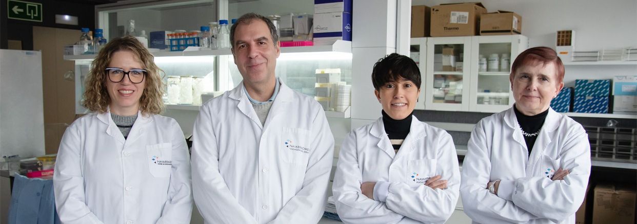Un estudio demuestra la eficacia de una molécula para avanzar en inmunoterapias contra el cáncer Un estudio demuestra la eficacia de una molécula para avanzar en inmunoterapias contra el cáncer