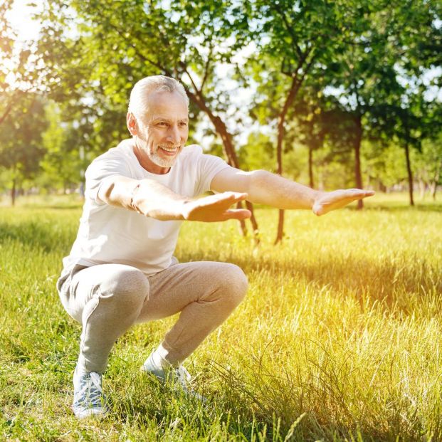 poleas sentadilla poleas sentadilla