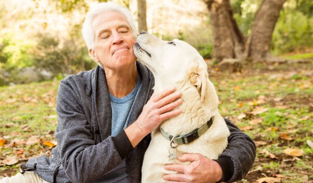 Las personas mayores con perro tienen menos probabilidades de desarrollar una discapacidad