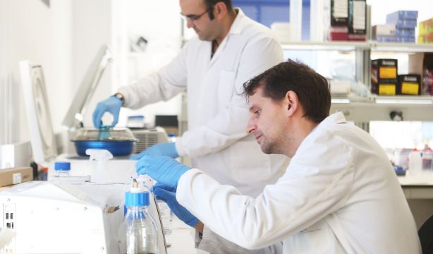 El nuevo test para detectar el cáncer de colon en estadios muy tempranos (Europa Press)