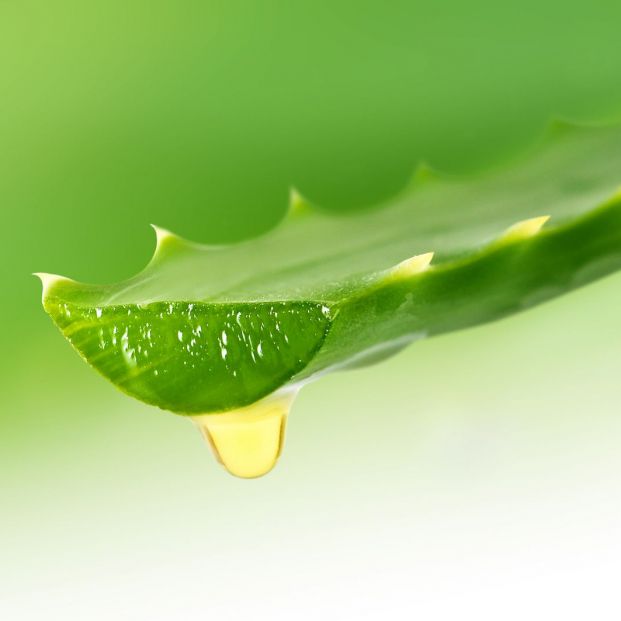 Remedios naturales para las rozaduras de los pies de las personas mayores Remedios naturales para las rozaduras de los pies de las personas mayores