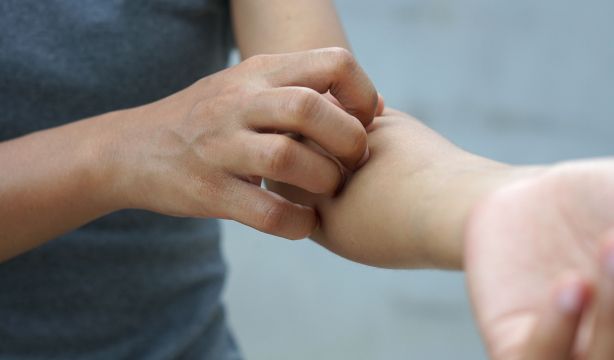El truco del papel higiénico para acabar con los mosquitos en verano 