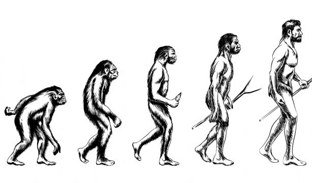 Nueva información sobre cómo los humanos aprendieron a andar