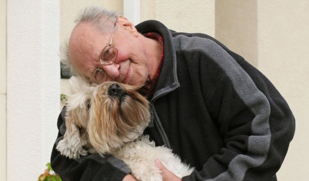 ¿Es legal en España dejar una herencia a tu mascota?