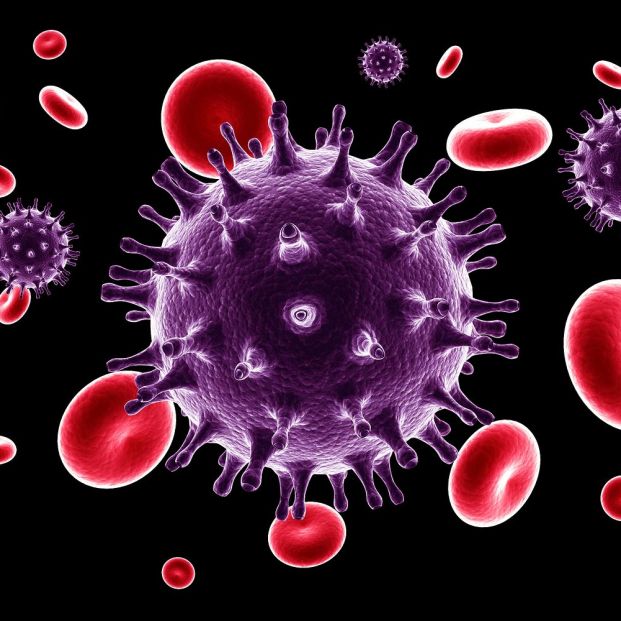 Crean un gel que podría prevenir el contagio del VIH Crean un gel que podría prevenir el contagio del VIH