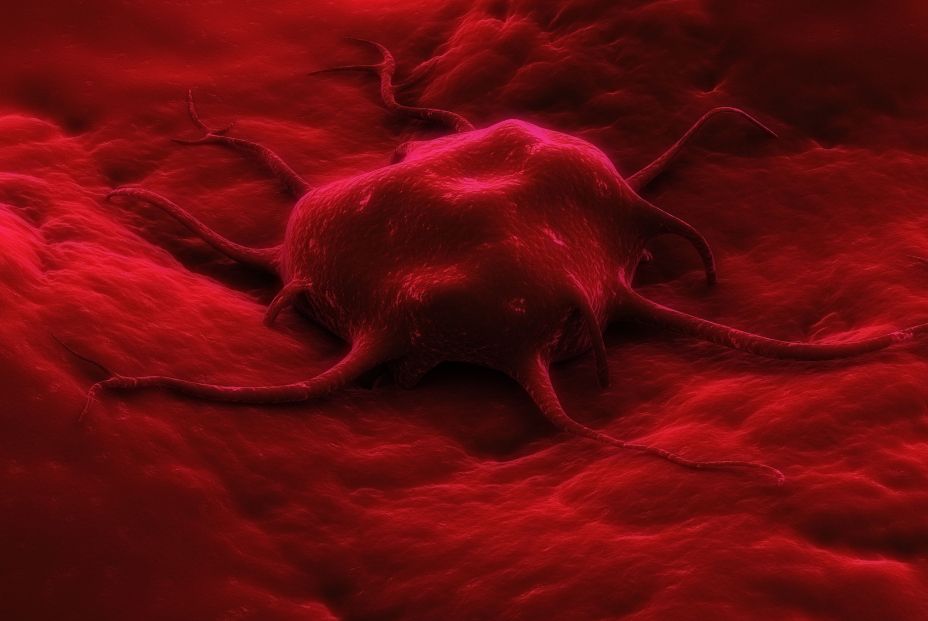 Desarrollan un sistema de vacunación contra el cáncer que reduce la progresión del melanoma (Bigstock) Desarrollan un sistema de vacunación contra el cáncer que reduce la progresión del melanoma (Bigstock)