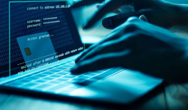 Quiénes son los ciberdelincuentes y qué buscan