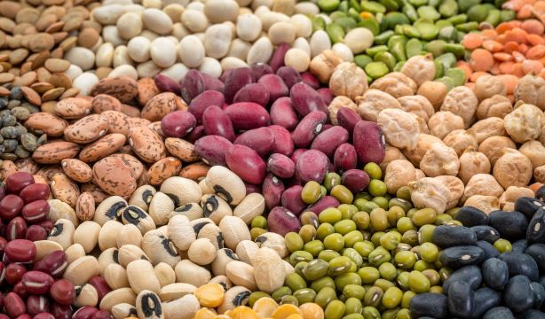 El alimento que no debe faltar para tener una longevidad saludable, según el experto Dan Buettner