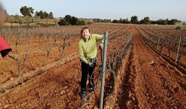 FADEMUR pide a Igualdad un estatuto de las mujeres rurales para que tengan "los mismos derechos" (Europa Press)