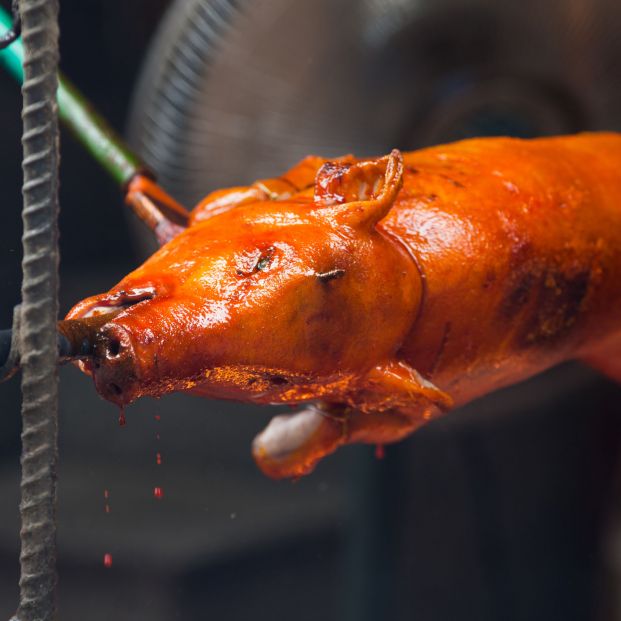 El cochinillo de Segovia, a un paso de ser reconocido como Indicación Geográfica Protegida en Europa El cochinillo de Segovia, a un paso de ser reconocido como Indicación Geográfica Protegida en Europa