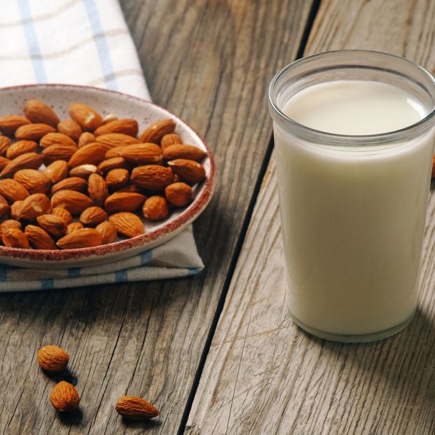 Aprende estas sencillas recetas para preparar tus propias bebidas vegetales en casa Aprende estas sencillas recetas para preparar tus propias bebidas vegetales en casa