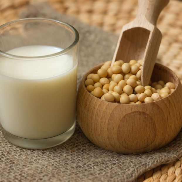 Aprende estas sencillas recetas para preparar tus propias bebidas vegetales en casa Aprende estas sencillas recetas para preparar tus propias bebidas vegetales en casa