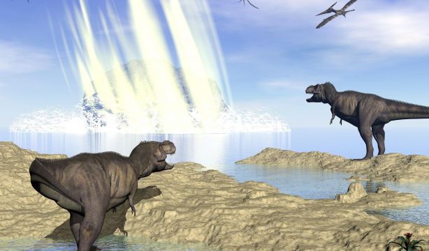 Científicos descubren nuevas claves evolutivas:  ¿Qué dinosaurios eran capaces de volar?
