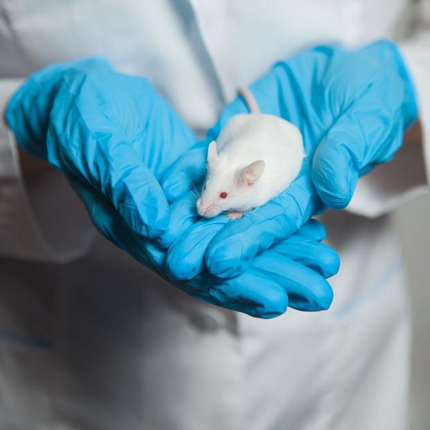 ¿Por qué los ruidos fuertes afectan la audición? (BigStock)