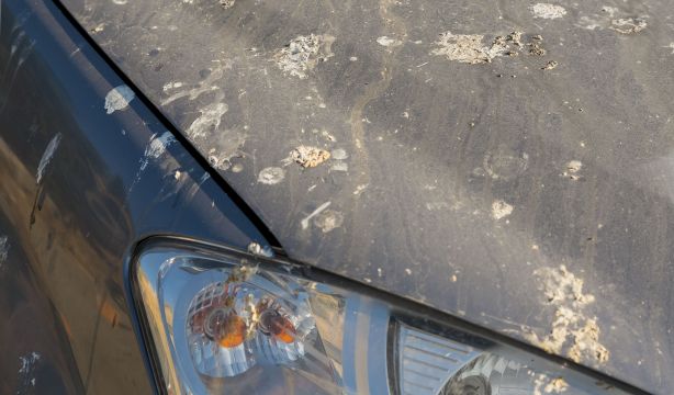 Los coches de este color son los favoritos de las palomas para sus defecaciones