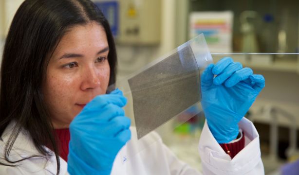 Crean un envase de huesos de aceituna que conserva mejor las frutas y verduras