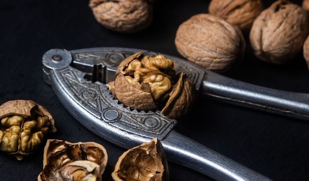 Las nueces y esos ruidos nuevos