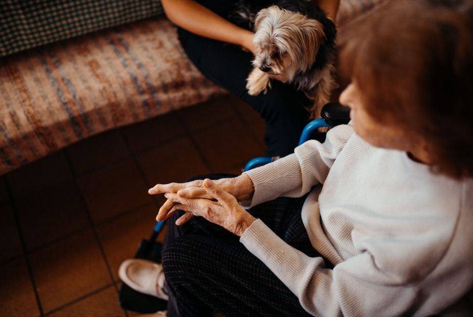 La admiración por los mayores desde la cámara de Emma Ovin. Fuente, Emma Ovin