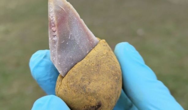 Los neandertales, más inteligentes de lo que se pensaba: inventaron el pegamento (Europa Press)