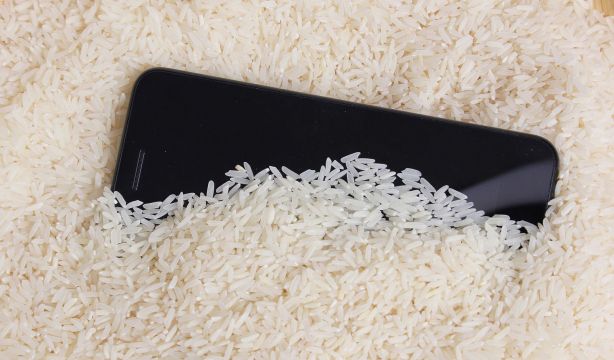 Apple desmonta de una vez por todas el mito del arroz para secar el móvil