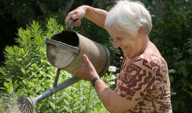 Las mujeres longevas tienen menos riesgo que los hombres de sufrir enfermedades multisistémicas (Bigstock)
