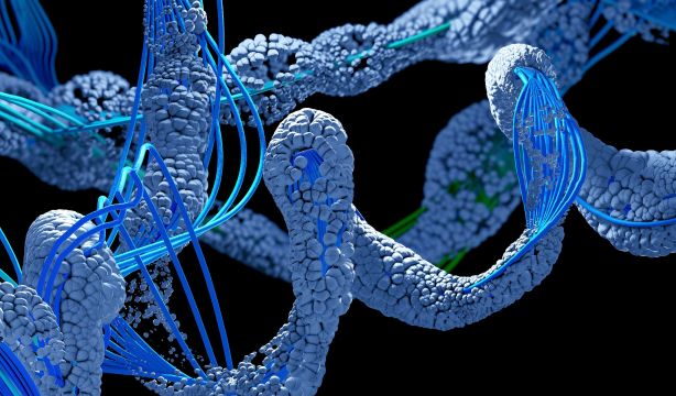 Diseñan proteínas con inteligencia artificial para combatir enfermedades