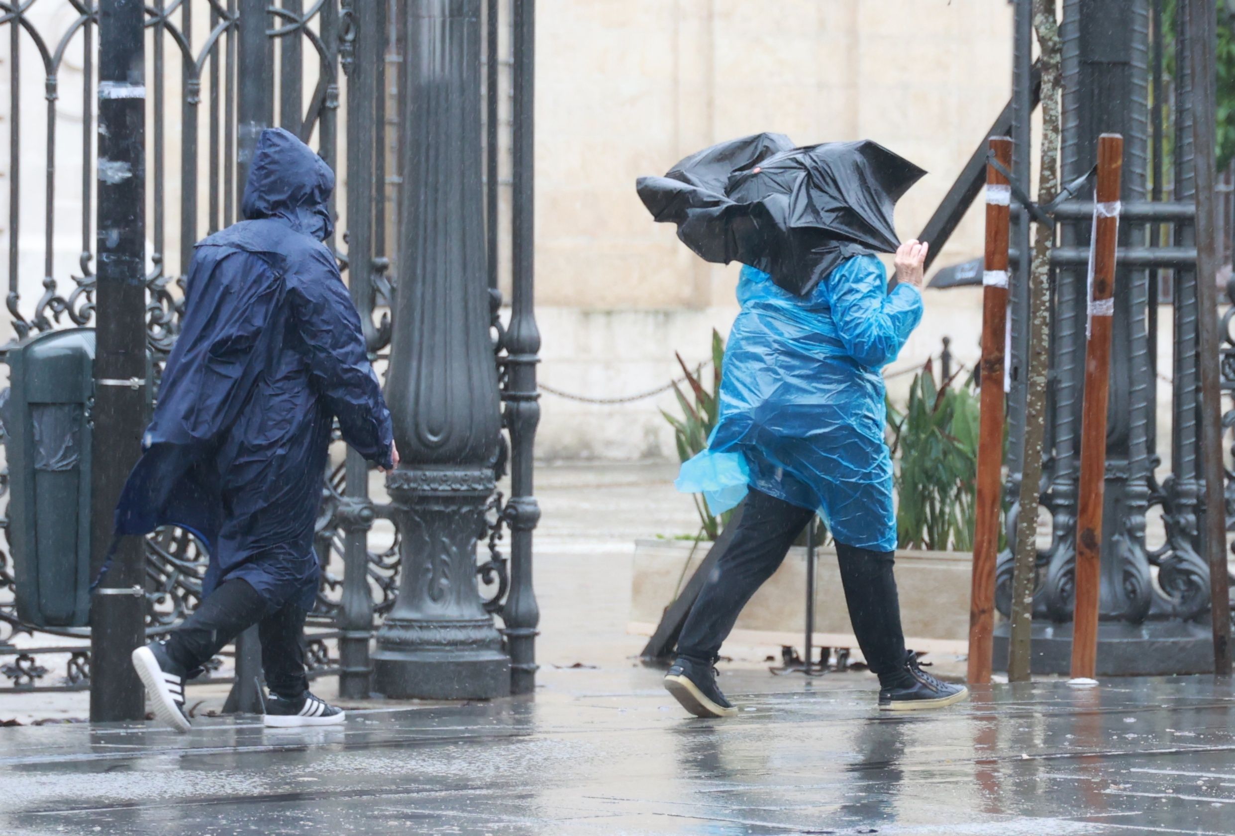 España, en alerta hasta el domingo por lluvia, nieve, viento y frío España, en alerta hasta el domingo por lluvia, nieve, viento y frío