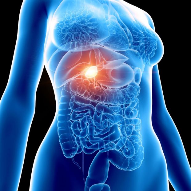 Vesícula biliar Vesícula biliar