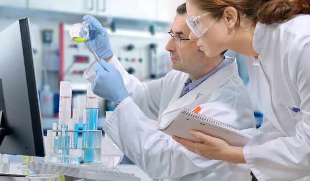 Los sectores en los que los estudiantes mejoran más sus competencias durante las prácticas