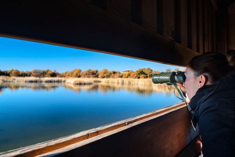 Rutas para conocer el Parque Nacional de Las Tablas de Daimiel Rutas para conocer el Parque Nacional de Las Tablas de Daimiel