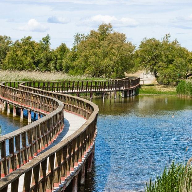 Rutas para conocer el Parque Nacional de Las Tablas de Daimiel