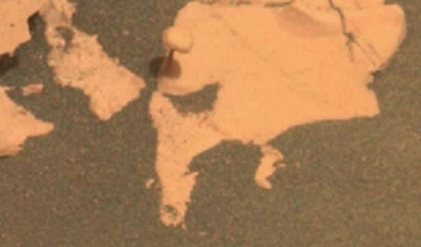 La NASA encuentra una seta en el suelo de Marte EuropaPress 