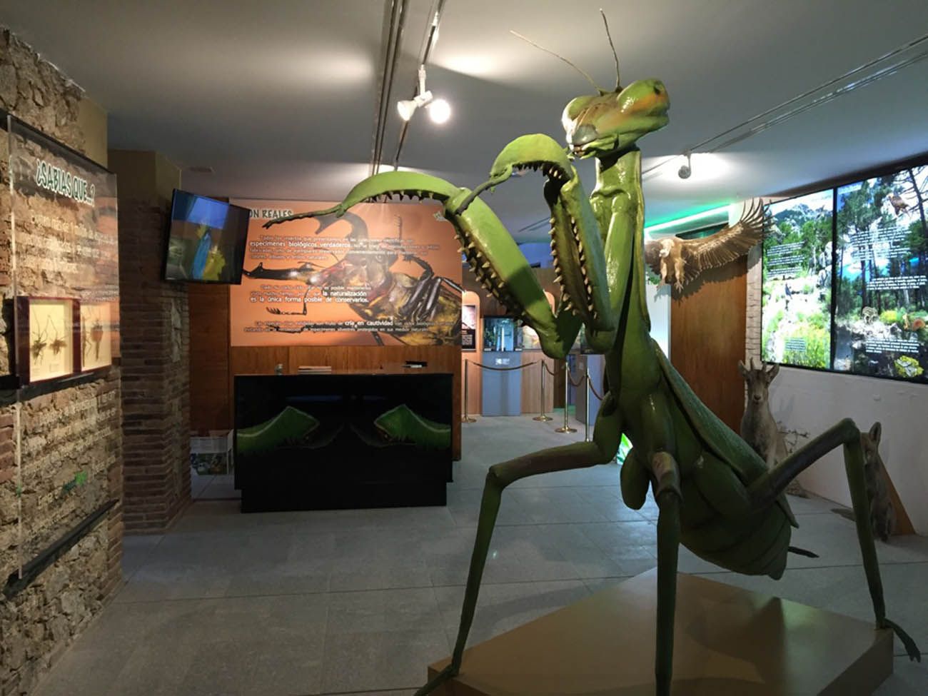 InsectPark, un centro de naturaleza único ubicado en Madrid para visitar con tus nietos