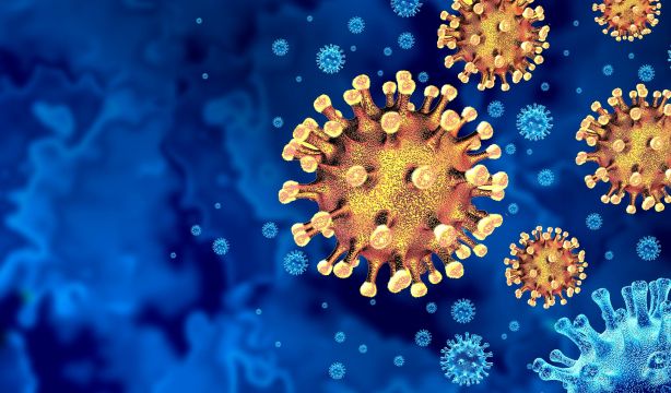 Descubren que los lípidos en sangre son potenciales biomarcadores de la Covid persistente (Bigstock)