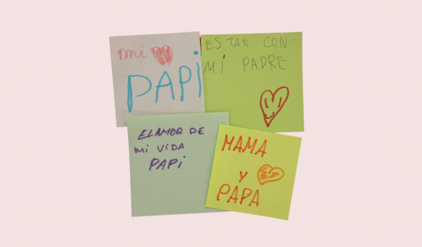 Rompiendo mitos: el dinero, el trabajo y la salud no garantizan la felicidad