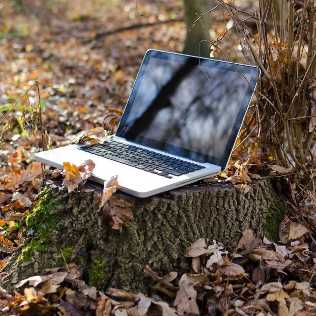 EuropaPress 4584804 ordenador conexion fibra internet wifi trabajo campo conectividad red medio