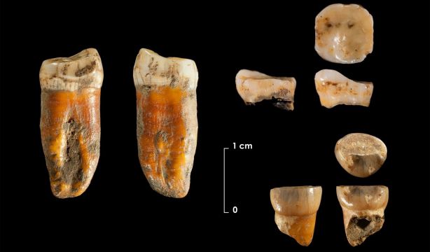 Descubren los restos neandertales más antiguos del norte de la Península Ibérica (Europa Press)