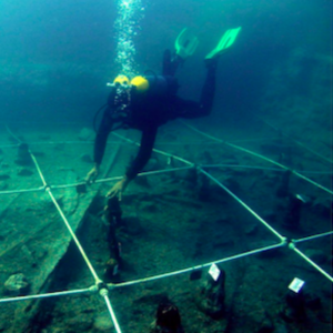 Fuente, CSIC Fuente, CSIC