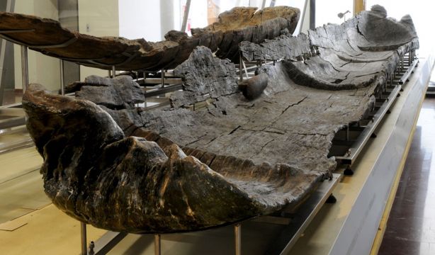 Hallan las cinco piraguas más antiguas del Mediterráneo descubiertas hasta la fecha. EuropaPress 