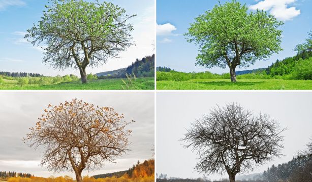 En el otoño e invierno de la vida