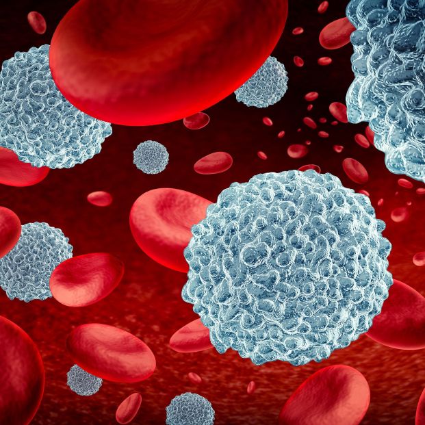 investigadores logran revitalizar sistema inmunologico ratones investigadores logran revitalizar sistema inmunologico ratones