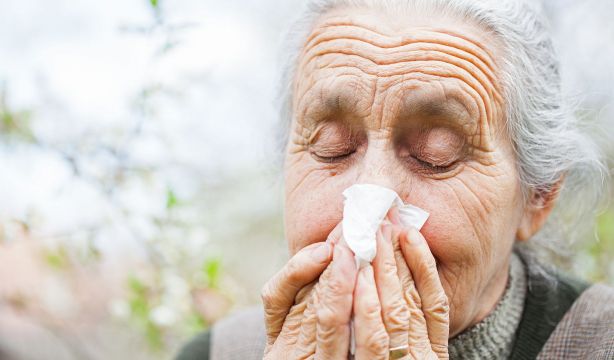 Alergias durante todo el año, la nueva normalidad