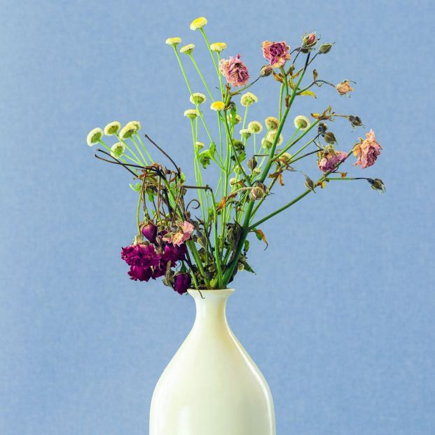 Cómo secar flores Cómo secar flores