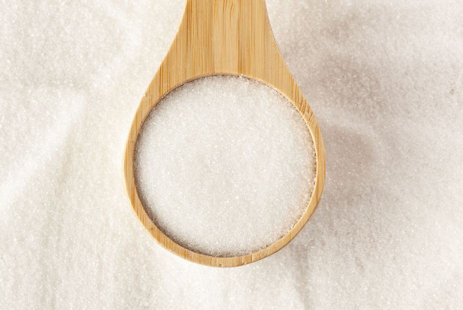 Sigue este truco para alargar la vida de las flores y plantas (Bigstock)