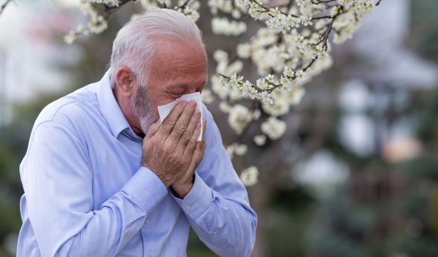 La temporada de alergias al polen se adelanta este año y afectará sobre todo al centro peninsular