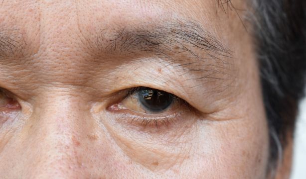 España y Japón se unen para hacer frente a los retos que plantea la longevidad