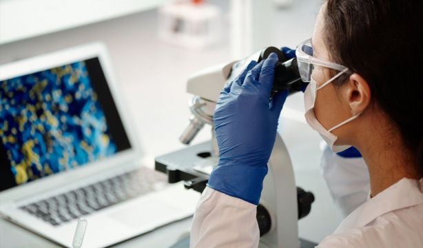 Elaboran un atlas del envejecimiento del músculo esquelético que puede ayudar a alargar la vida (Europa Press)